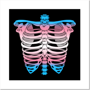 Trans Ribcage Posters and Art